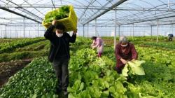 De Shanghái a las Comunidades Campesinas