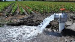 Desarrollan "NanoSpira", sistema inteligente para proteger los cultivos de la contaminación del agua