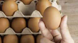 Dos empresas peruanas entre los 10 mayores productores de huevos de América del Sur