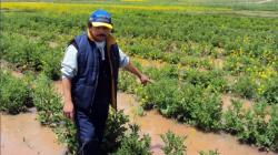 El Niño en Piura: ¿amenaza o reserva de agua para la agricultura?