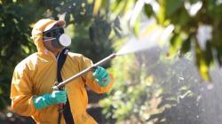 Es urgente cambiar la cultura en el manejo de pesticidas