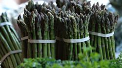 Espárragos, arándanos y flores lideraron exportaciones vía aérea