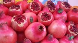 Exportaciones de granadas frescas crecen en volumen 36.03%