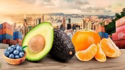 Exportaciones peruanas crecen impulsados por los sectores minero y agropecuario