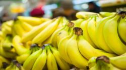 Exportaciones peruanas de banano ascienden a 92.763 toneladas en lo que va de 2023