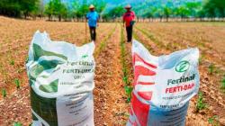 Fosfato diamónico fue el principal fertilizante importado por Perú