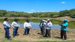 Ganaderos de Tumbes se benefician con proyecto de Siembra y Cosecha de Agua