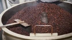 Ghana nos gana: busca transformar el sector del cacao: ¿Un nuevo modelo para la industria?