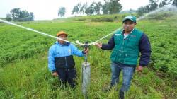 Gobierno culmina cuatro proyectos de riego en Cajamarca