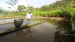 Gobierno potencia sector acuícola vía aplicativo móvil gratuito “ADA Perú”