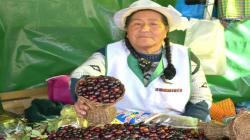 Huancayo: productores organizan Festival de las Guindas para dinamizar economía local