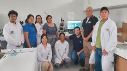 Implementan primer sistema computarizado para analizar calidad de material genético de ganado vacuno en Huaral