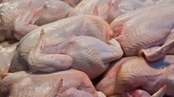 Importación de carne de pollo fresco y congelado aumentó en volumen y en valor