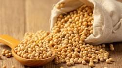 Importación de soya alcanza los US$ 46 millones en el primer semestre del año