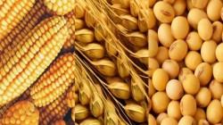 Importaciones agropecuarias alcanzan los US$ 1.670 millones, entre enero y marzo