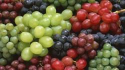 Importaciones de uva de mesa por parte de Estados Unidos aumentaron en valor 20% en el primer semestre del año, pasando de US$ 1.600 millones a US$ 1.920 millones
