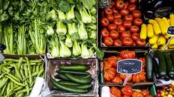 Informe de EAT-Lancet insta a cambiar la política alimentaria de la UE