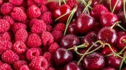 INIA busca producir entre 100 mil y 200 mil plantones de frambuesa en La Libertad