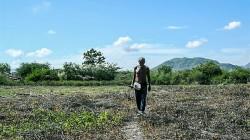 Inseguridad alimentaria amenaza a América Latina