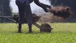 La “destrucción creativa” y la agricultura peruana