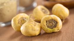 La exportación de maca peruana en 2025: más volumen, menos ingresos