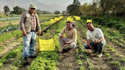 La salud empieza en casa, pero se defiende con política nacional, producción sana y responsabilidad pública