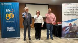 Lanzan plataforma IA que anticipa riesgos sanitarios en acuicultura de langostinos