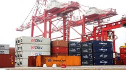 Las agroexportaciones no tradicionales sumaron US$ 1.188 millones en enero de 2026.