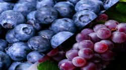 Las temperaturas más frescas y estables del otoño son ideales para el crecimiento y desarrollo de uvas de mesa y arándanos