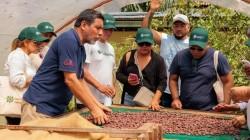 Más allá del chocolate: San Martín apuesta por aprovechar el 100% del fruto del cacao