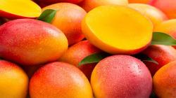 Mercado global del mango