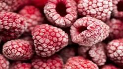 Midagri proyecta escenario comercial favorable para el cultivo de frambuesa