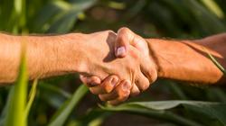 Nueva Ley Agraria: Oportunidad para formalizar e integrar al agro