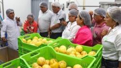 Nueva planta de procesamiento de jugos y pulpas en Tarapoto abre las puertas a la agroexportación en la región