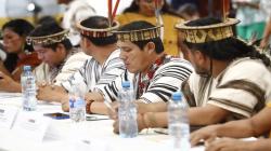 Organizaciones respaldan conformación de mesa para el desarrollo de la Amazonía peruana