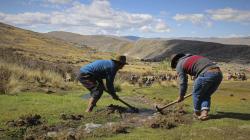 Perú implementará la Academia Ancestral Agraria con apoyo de la FAO