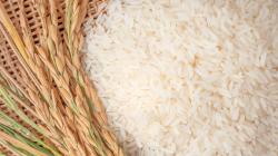 Perú importó arroz por US$ 18.6 millones en el primer trimestre de 2024