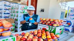Perú suspende importación de carozos y manzana de Chile