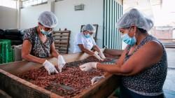 Procompite supera los S/435 millones y proyecta mayor crecimiento en 2026