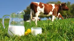 Producción nacional de leche fresca alcanzó las 2.241.136 toneladas en 2022, registrando un incremento de 2.57%