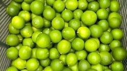 Productores de Tumbes comercializan 16 toneladas de limón para la agroindustria