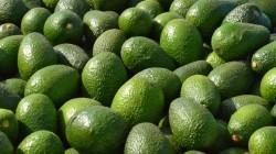 ProHass fortalece su compromiso e impulso a la Agenda Estratégica Nacional frente al cadmio