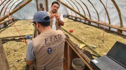 Proyecto universitario impulsa la calidad del café piurano con tecnología solar