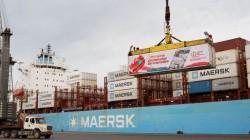 Puerto de Paracas supera las 280 mil toneladas de cebollas exportadas en temporada 2025-2026