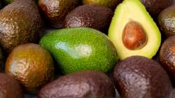 Puerto del Callao se consolida como actor principal en el aumento de las exportaciones de palta peruana