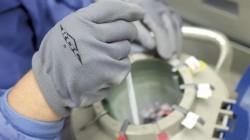 Rechazan Resolución Ministerial que restringe uso de semen bovino congelado en zona andina