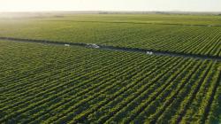 Rechazo de agroexportaciones se podría reducir hasta un 90% con nueva herramienta tecnológica