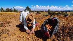 Reforma o Revolución Agraria: La tierra como centro