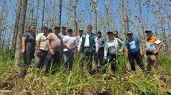 Serfor y Cooperación Alemana fortalecen alianza para impulsar la gestión forestal sostenible en Perú