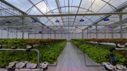 Startup chilena crea sistema de “sol a la medida” que permite cosechas durante todo el año